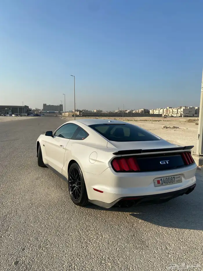 موستنج للبيع 5