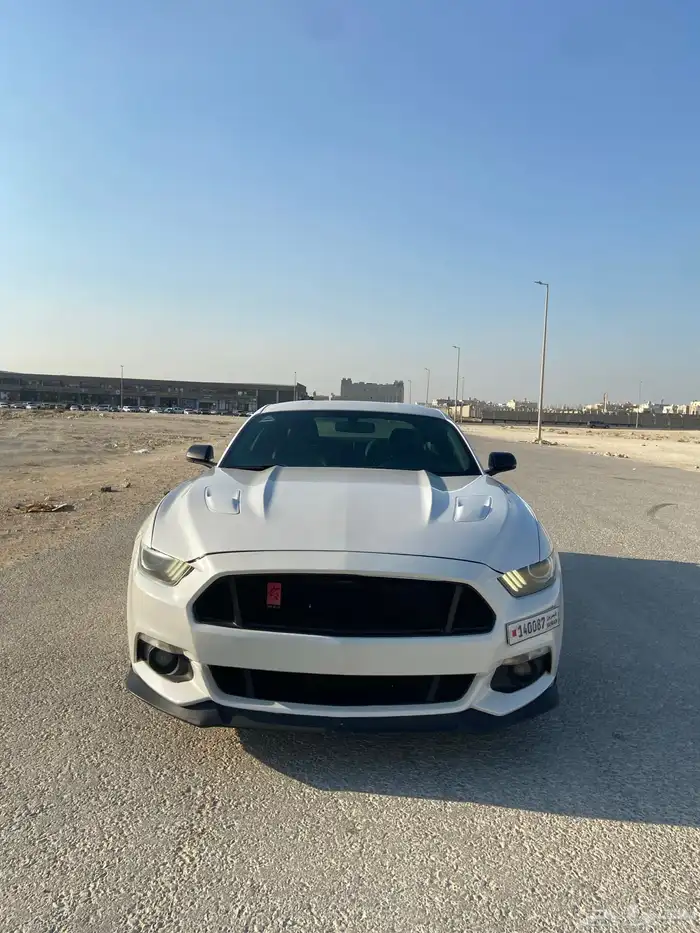 موستنج للبيع 3