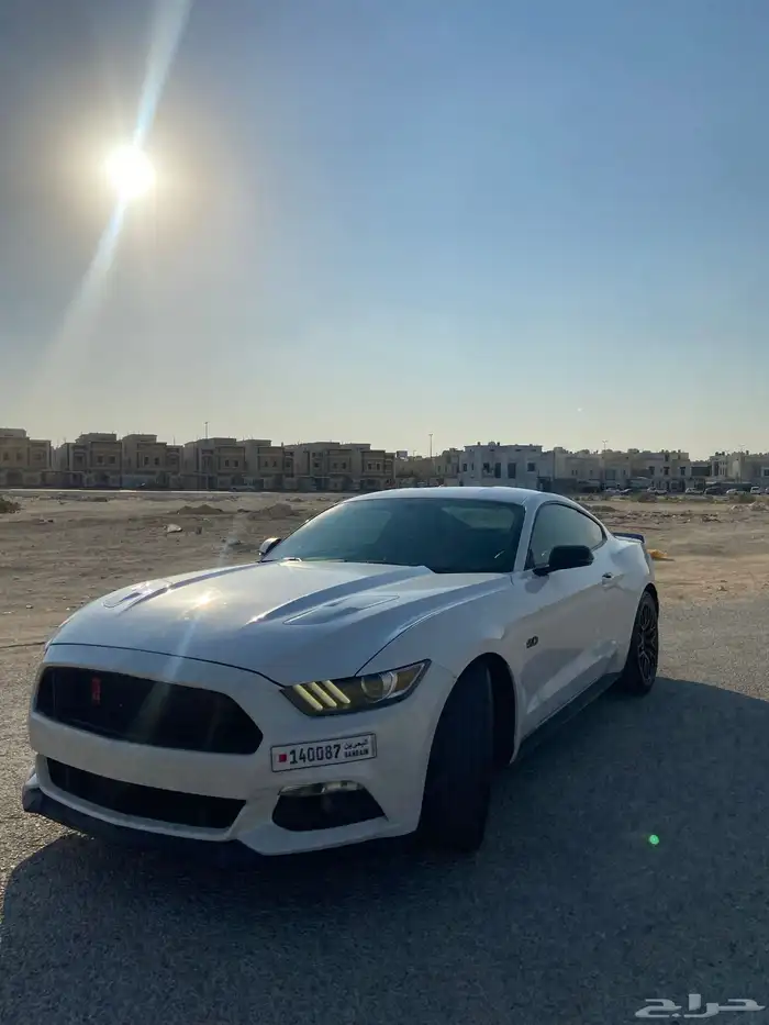 موستنج للبيع 1