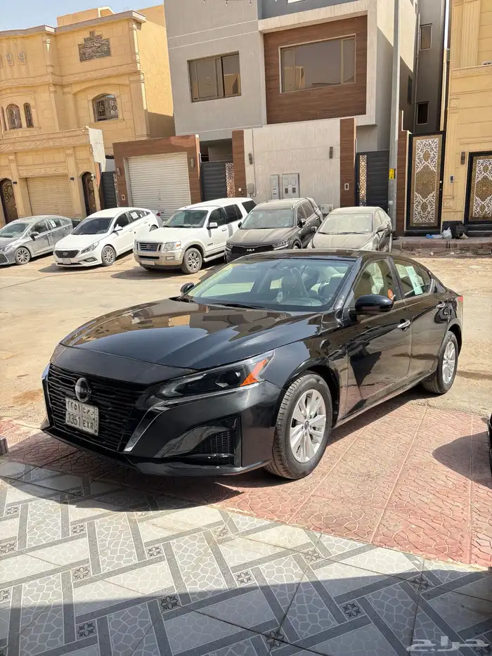 التيماء 2023 0