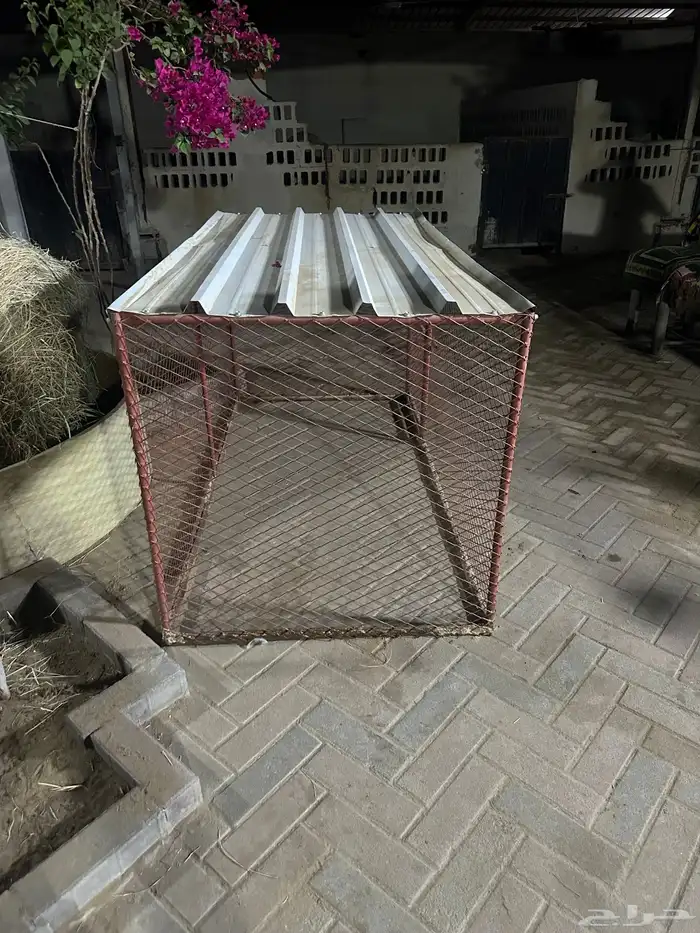 قفص للطيور 1