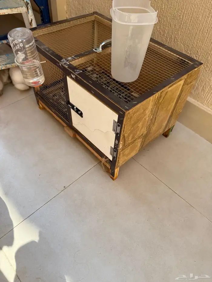 ارانب للبيع في الرياض مع القفص والاكل 1