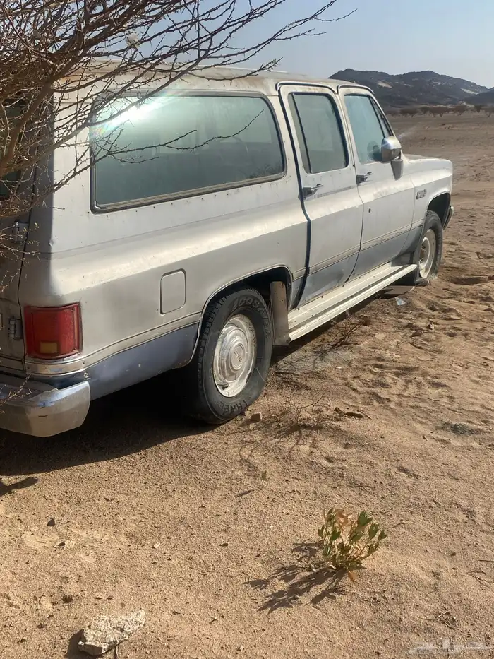 جمس 81 مسقط 1