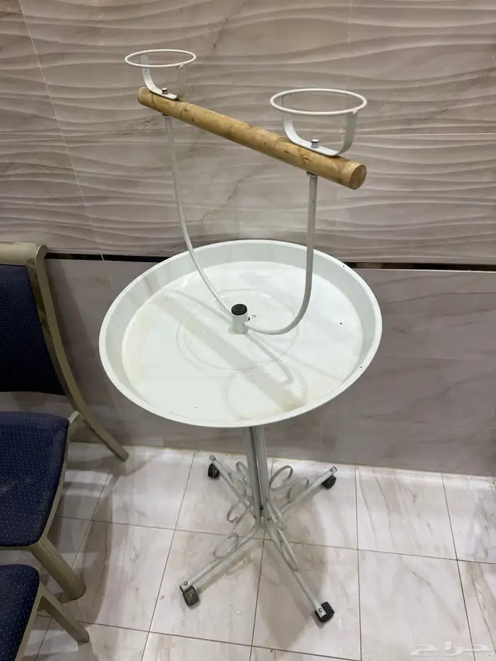 ستاند ببغاء (طيور) 2