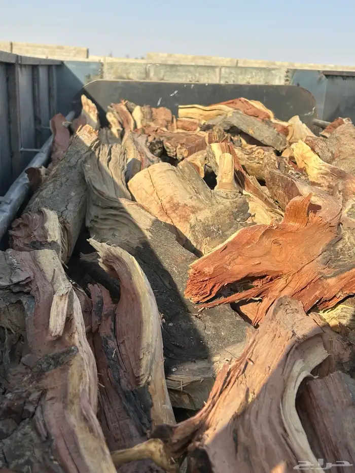 ح ط ب المدينه 3