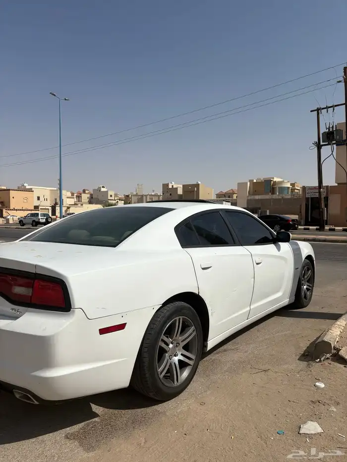 دوج للبيع 1