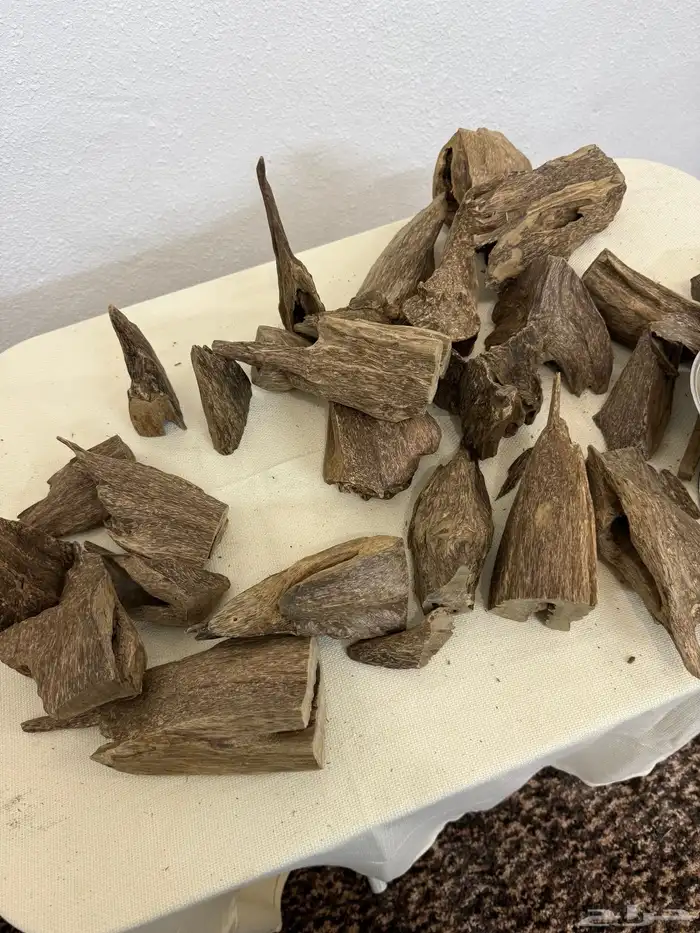عود طبيعي قطع كبيرة 0