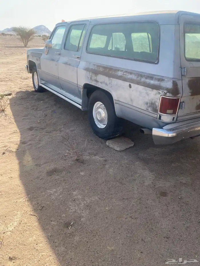 جمس 81 مسقط 0