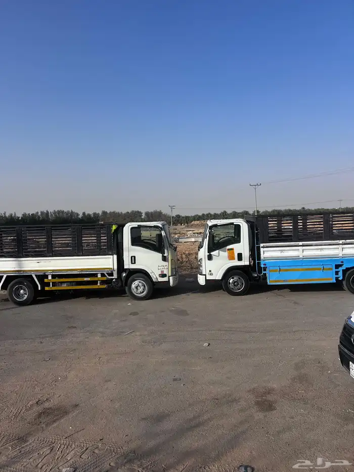 العنوان دينات لليجار 0