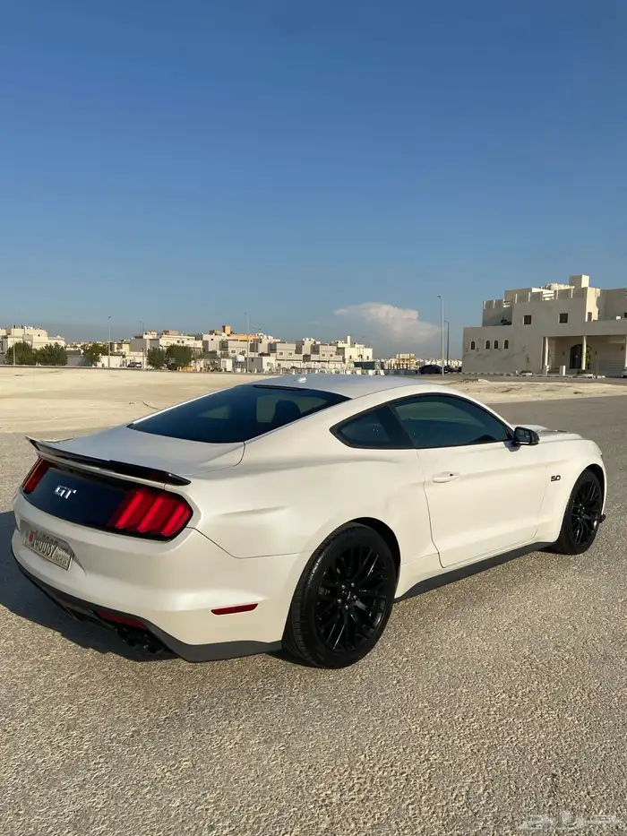موستنج للبيع 4