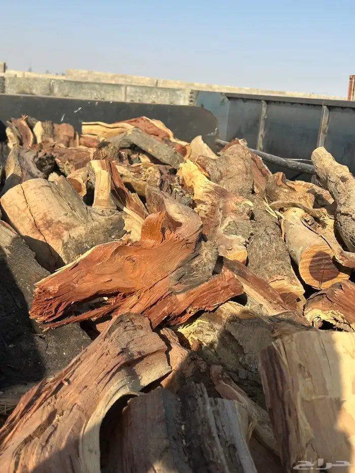 ح ط ب المدينه 2