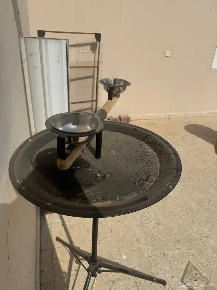 ملحقات ببغباء 6