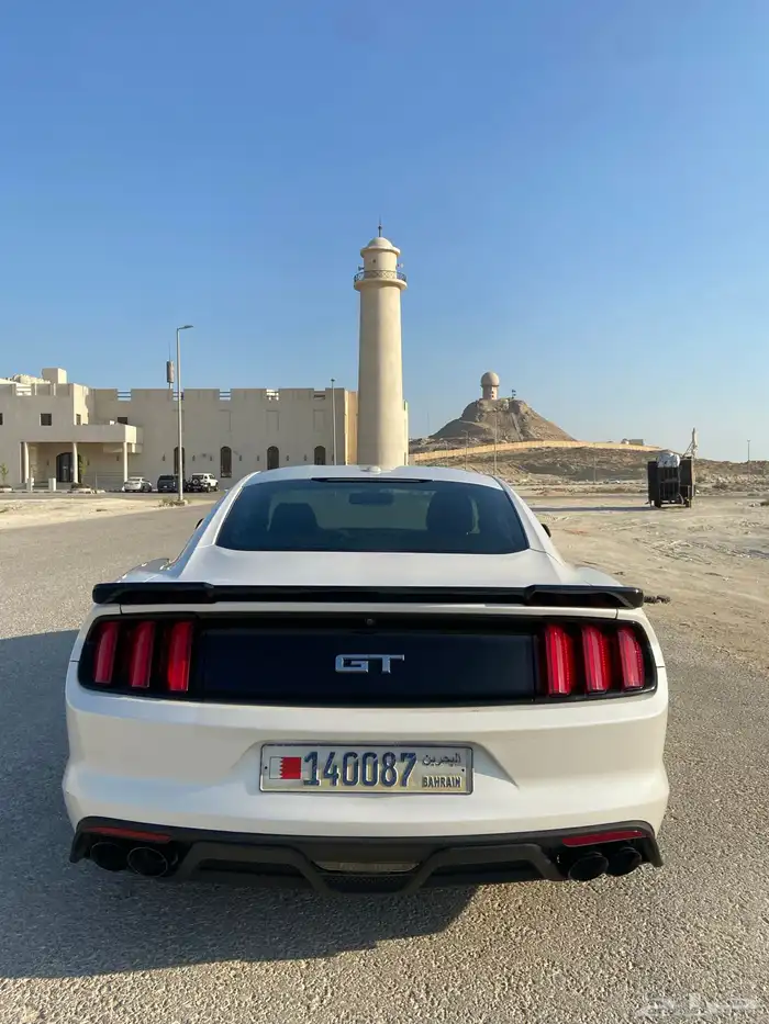 موستنج للبيع 2