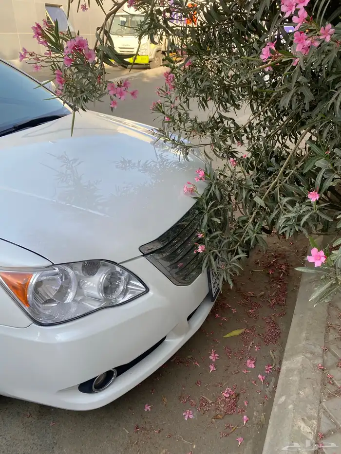 تويوتا افالون 1