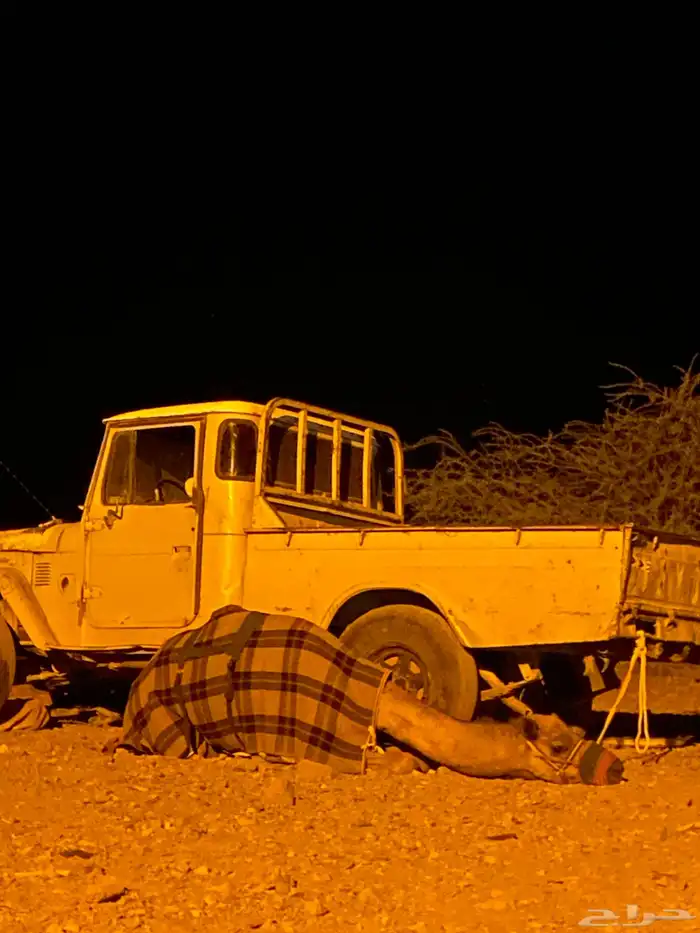 يوجد طبع قعدان 0