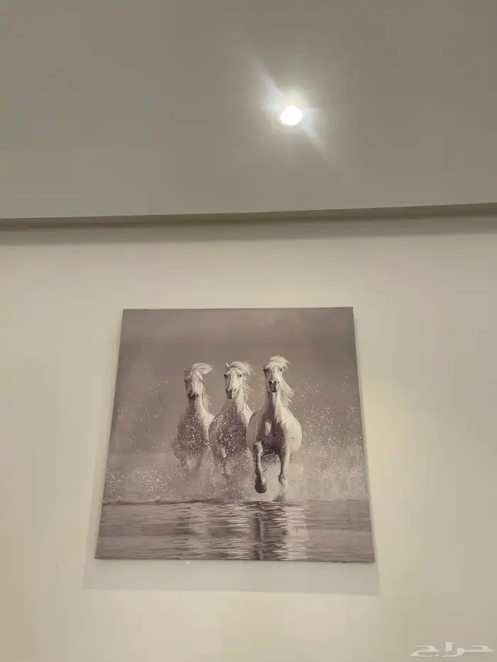 لوحة من هوم سنتر 1