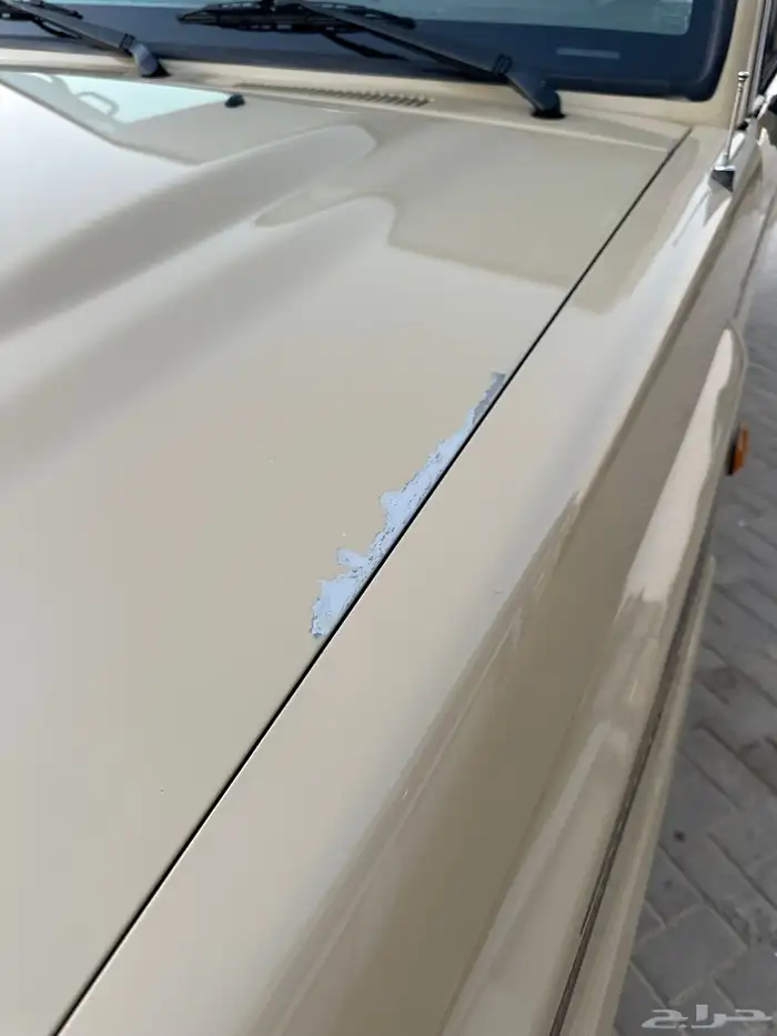 شاص 2022دفلك بدون ونش 14