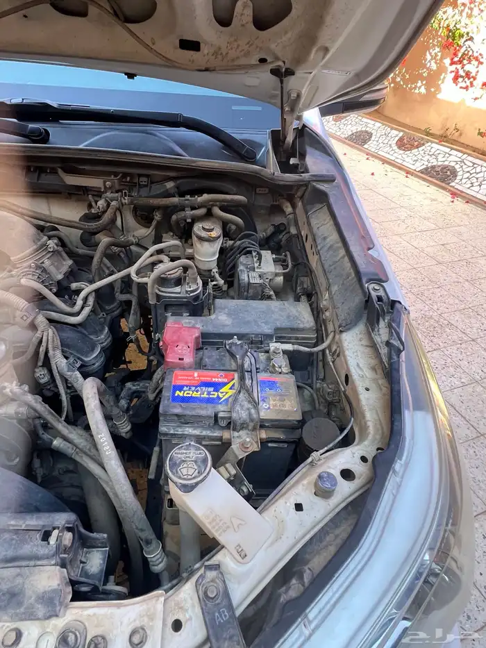 هيكلس 2019 29