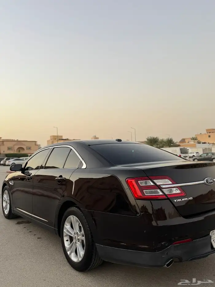 تورس2014 1
