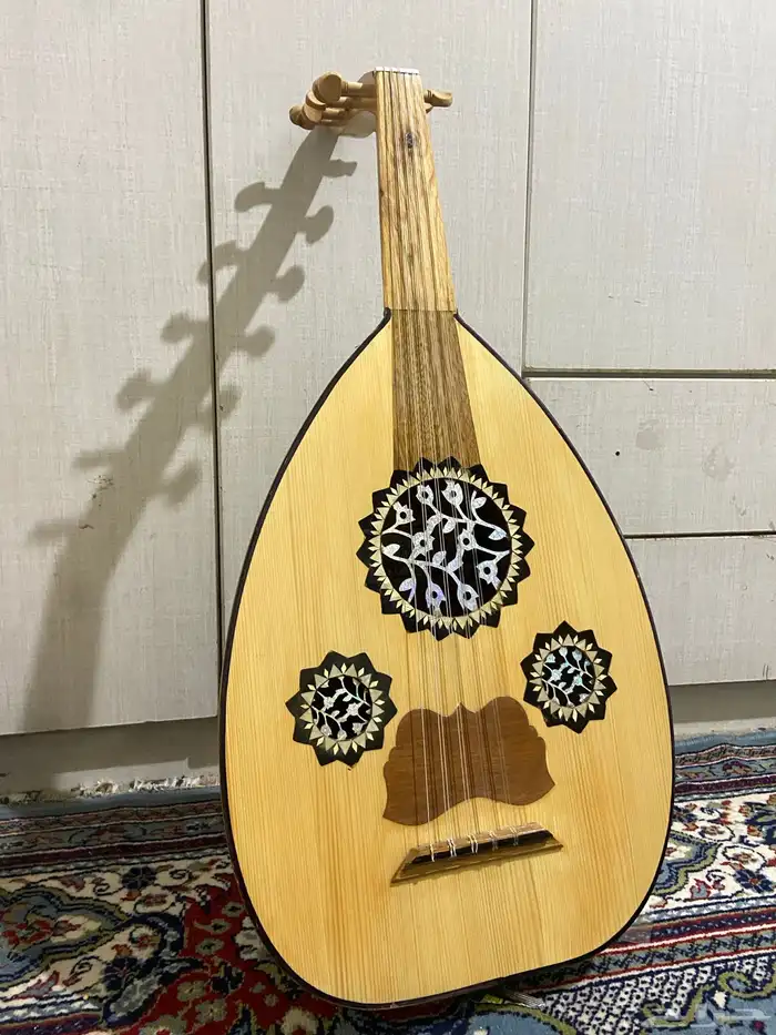 عود مصري نضيف 0