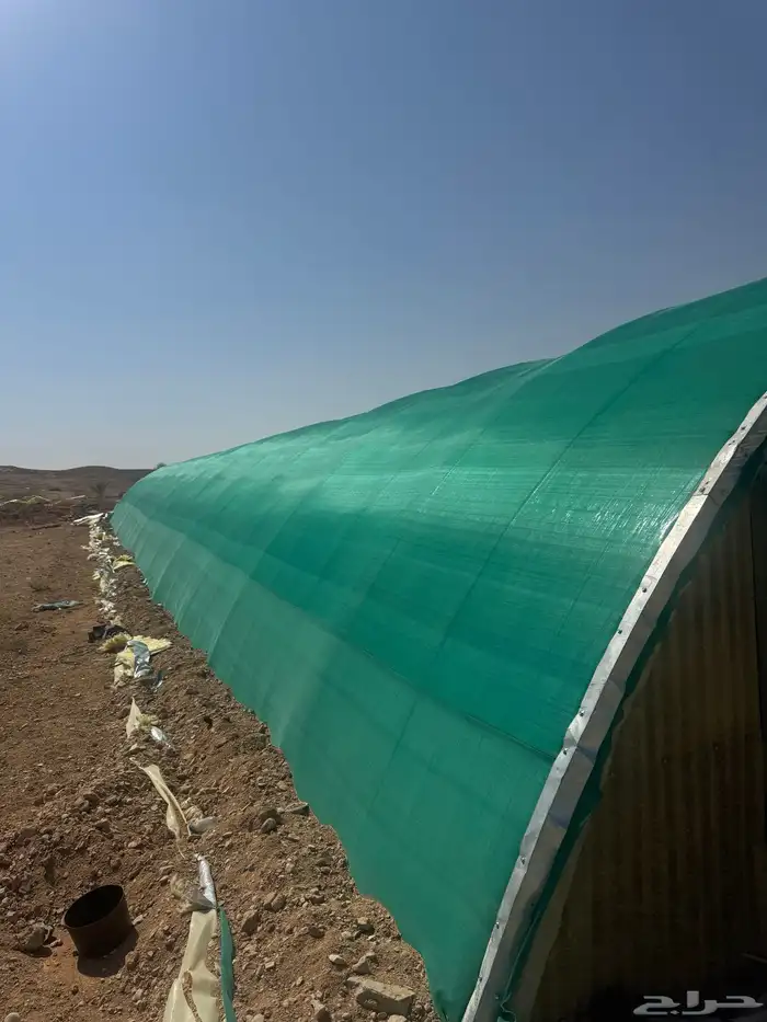 عنابر دجاج لاحم سعة 8000 0
