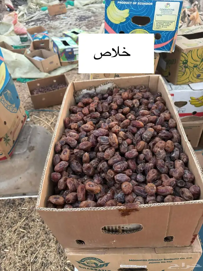 تمر خلاص و شيشي 1