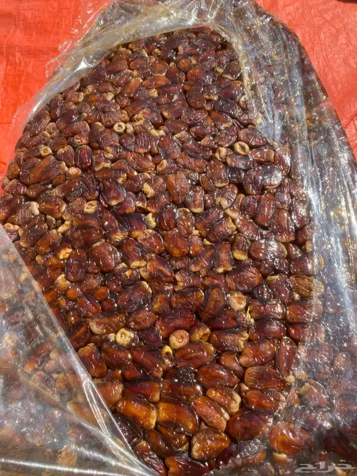 تمور العيص برني وكعيمر 1