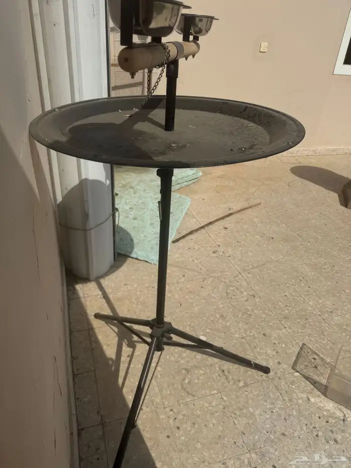 ملحقات ببغباء 4
