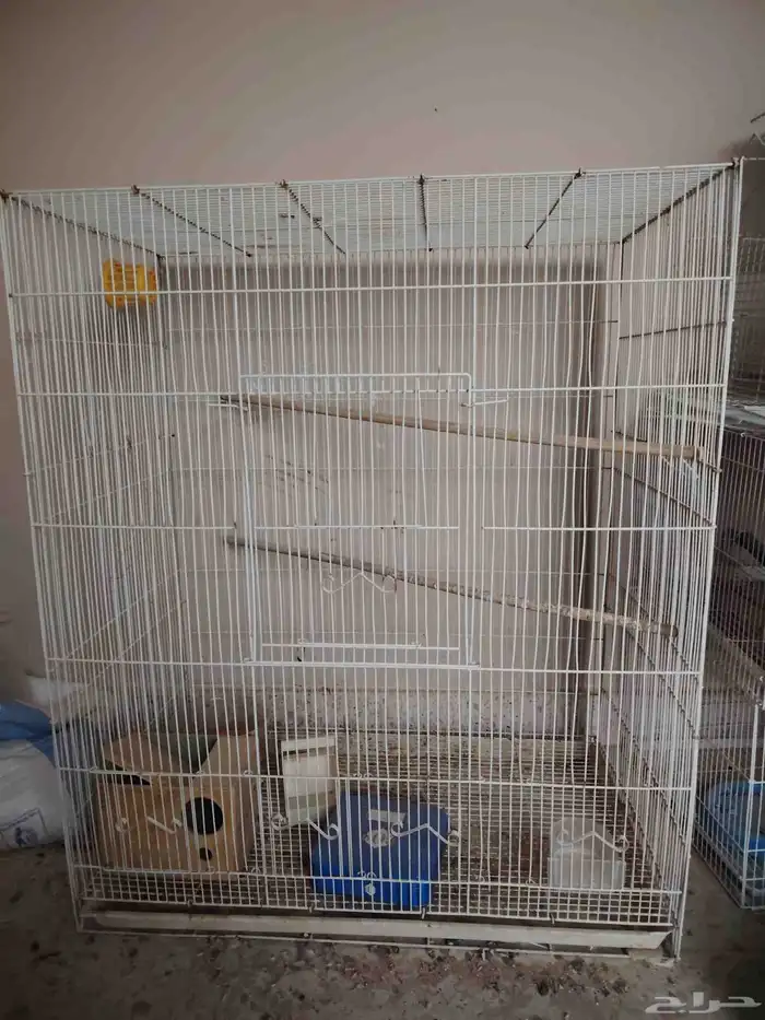 مطير طيور زينه 0