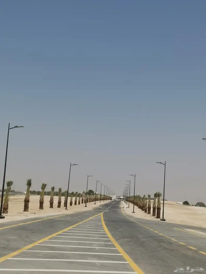 مقول نخل وشبوك مزارعه 7