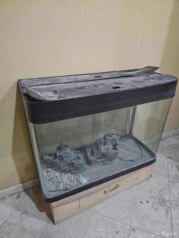 حوض سمك كبير 1