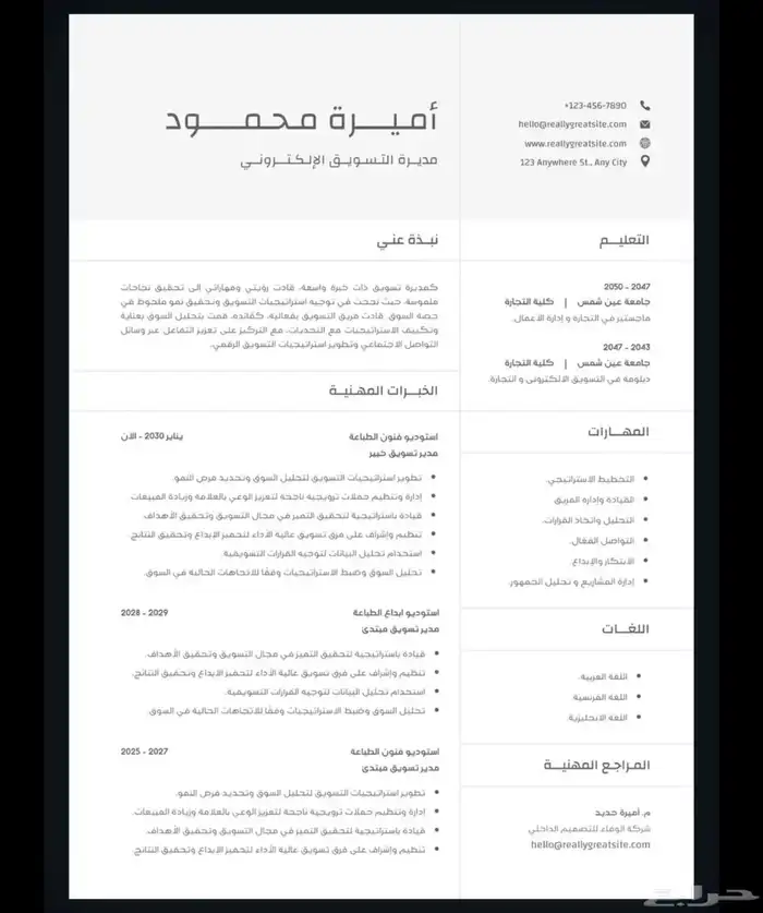 ATSتصميم سيرة ذاتيه بنظام 6