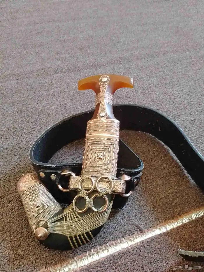 جنبيه زراف حده 1