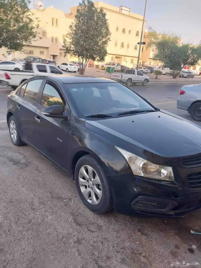 كروز 2017 1