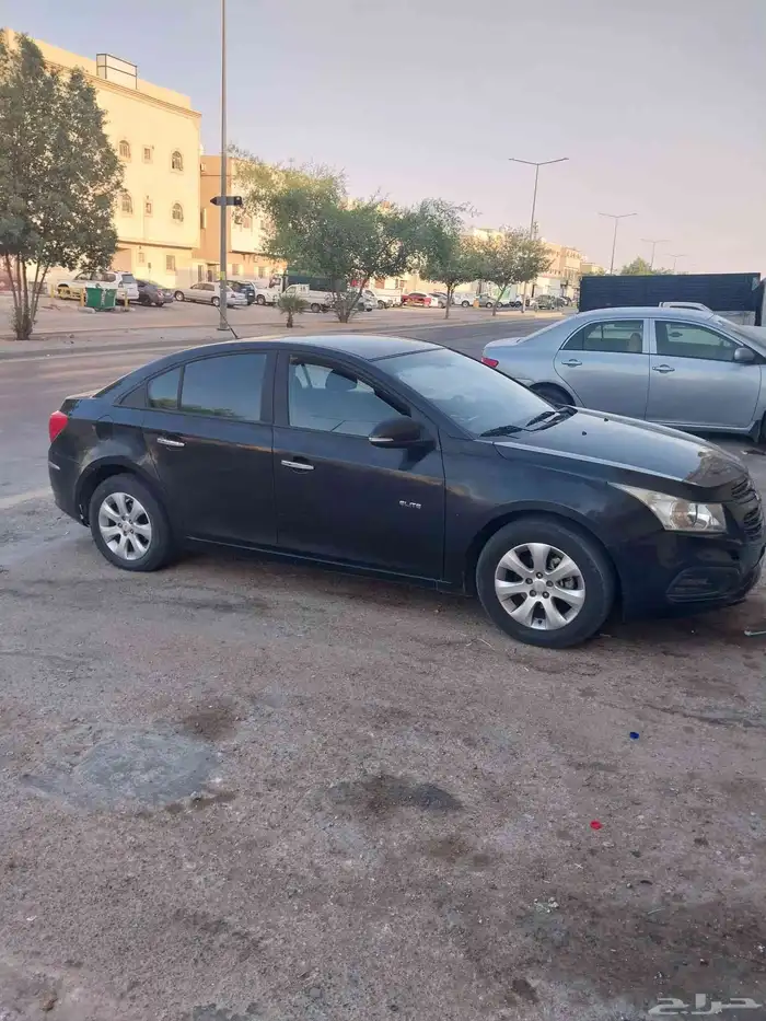 كروز 2017 2