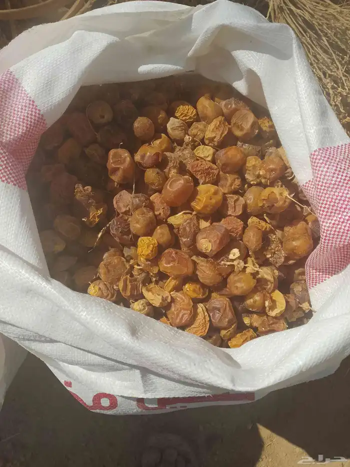 عندنا تمر البيع مشكلت وعجاين وأكياس حشف مزرعة 0