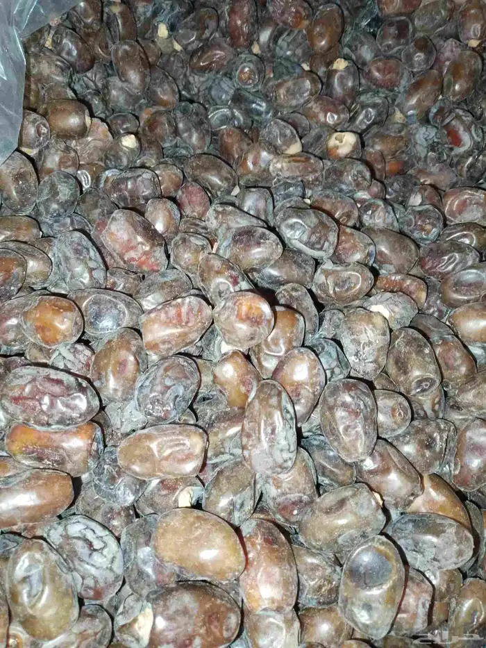 عندنا تمر البيع مشكلت وعجاين وأكياس حشف مزرعة 4