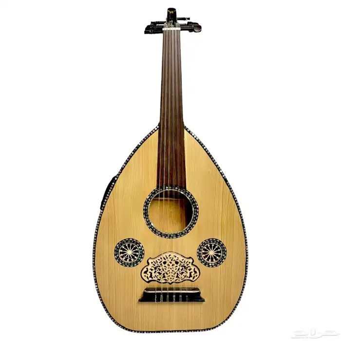 عود كهربائي خالد عزوز 1