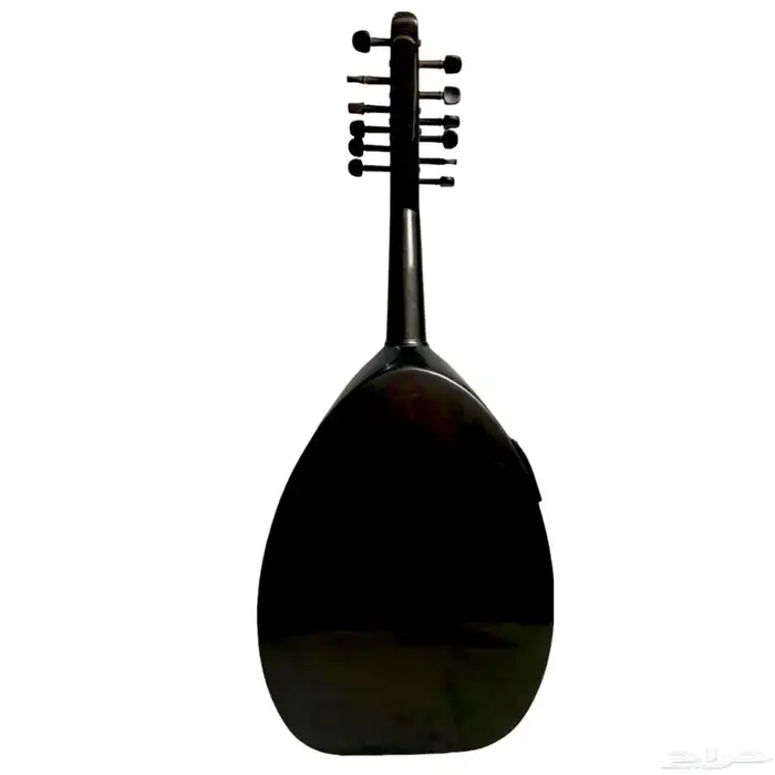 عود كهربائي خالد عزوز 2