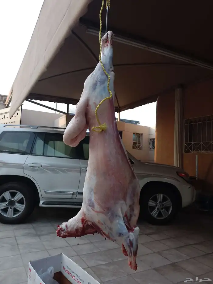 معلم مشويات 0