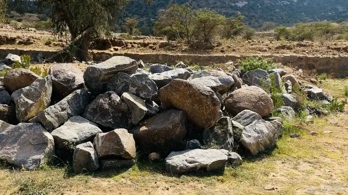 صخور للبيع 0