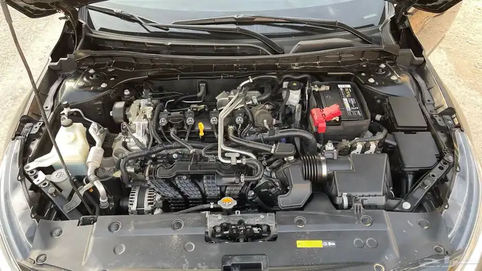 التيما 2023 SL 3