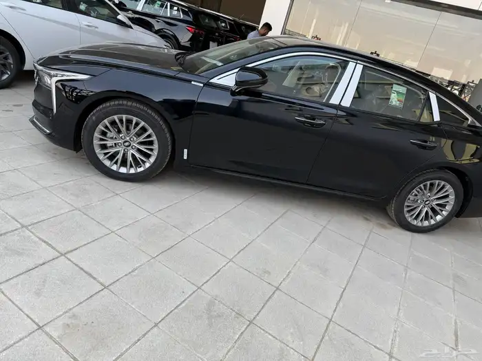 فاو بيستون B70 1