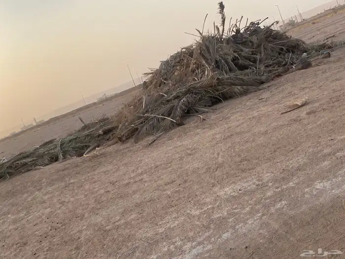 لتواصل جريد ممتاز 0