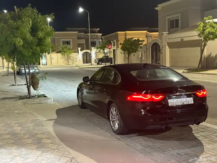جاكور مصدوم XF 2017 9