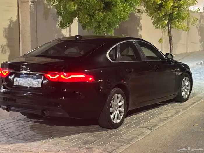 جاكور مصدوم XF 2017 10