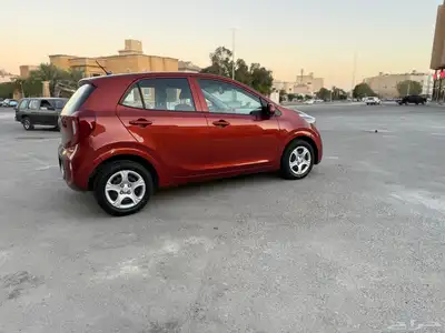 بيكانتو 2020 بدي وكاله خليجي index