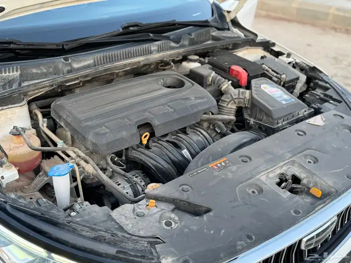 جلي امجراند 7 (2023) 20