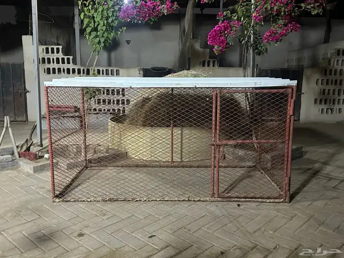 قفص للطيور 0