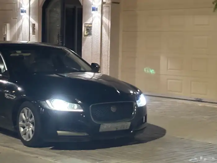 جاكور مصدوم XF 2017 7